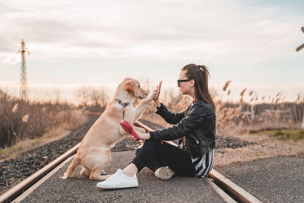 Adopt Don’t Shop for Pets: A Call to Action