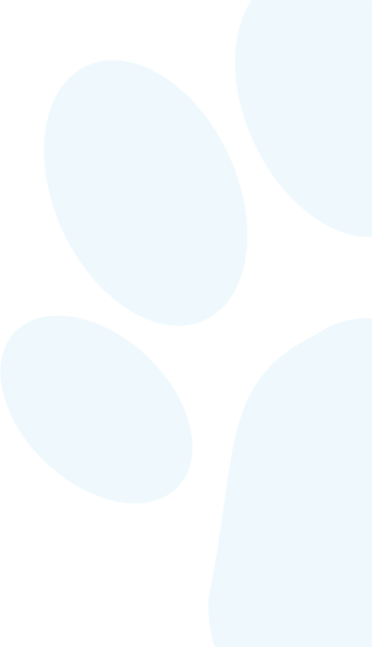 foot-vector