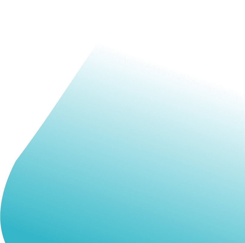 home-banner-vector