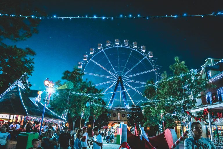 Amusement Park Nightmares Children Get Lost at Amusement Parks Everyday
